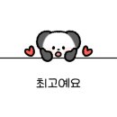 피노키오 제과 네이버블로그