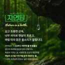 지리산 자락에서 올라오는 물, 직접 마셔봤습니다 — 자연담 먹는샘물 2L 솔직 체험기