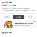 다다펫스파 이미지