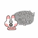 띠띠세탁 | 남자..보러 마카오로 떠날까요