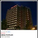 쿠오레 | 호텔 일 쿠오레 난바 오사카 도톤보리 가성비 숙소 예약 찐 후기