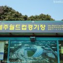 대포보건진료소 이미지