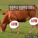 재명농장 이미지