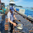 완도참전복집 이미지