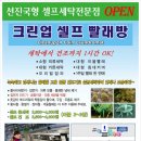 수정빨래방세탁 이미지