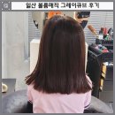 일산중앙화장실 | 일산 볼륨매직 잘하는 곳 그레이큐브 도운디자이너 후기