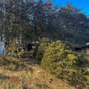 편백나무 주택 이미지