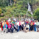 루카농장 이미지