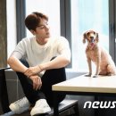 펫스토리 이미지