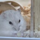 특별한동물가게 평택점 이미지