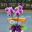 여의대방로 46길 이미지