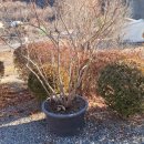 청도강변돌고래펜션 이미지