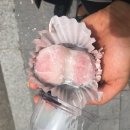 소예모찌 이미지