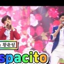 데스파시토 이미지