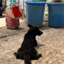 우당탕 랜드 이미지