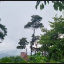 왕거경로당 이미지