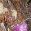 해안초교 병설유치원 이미지