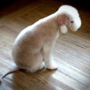 미용나라 이미지