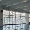 파워라인 휘트니스 클럽 | 부산 자유수영 촬영가능 수영장 국제식품 양정점 - 국제스포츠클럽 시간, 가격, 정보 총정리