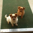 바둑이농장 이미지