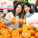 오렌지 이미지