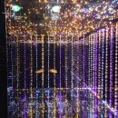 더 스카이(THE SKY) | 부산 해운대 엑스더스카이 (X the Sky) 입장료, 주차부터 층별 숨겨진 즐길 거리까지!