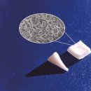 베트컴코리아 이미지