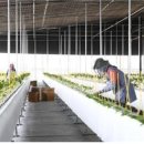 사계절하우스 - 군산시 장자도1길 28-2 | 사계절하우스