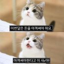 꿀쨈PC 이미지