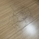 상림공원입구~공설운동장 사거리 | 충주 연수동 두피케어 탈모관리 전문 코모랑스 후기