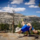 대조-008 이미지