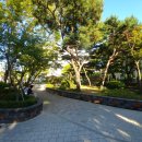 먼마루어린이공원 이미지