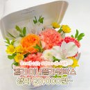 켈리플레르 이미지