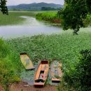 송아지민박 이미지