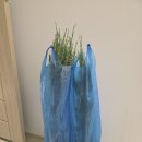 세븐일레븐 진주초전공원 | 2025 대한민국 정원산업박람회 진주 초전공원