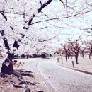 경기도 수원시 팔달구 수원천로392번길 이미지