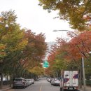 목동동로6길 이미지