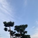 연기면_세종호수공원 제1주차장 이미지