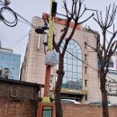 여성안심무인택배보관함 (구리시 돌다리제2경로당) | 구리시 돌다리사거리의 여울목공원을 걸어가며 저장한 사진들