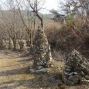 작은동산길 이미지