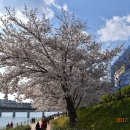 금호강9 이미지