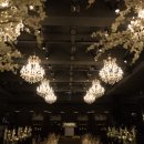 종근당 오페라 <희망이야기> | W1. 원주 오페라웨딩컨벤션 26년 하반기 결혼 당일계약 후기