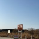 신암 은행나무길 | [경기도 여주] 강천섬유원지｜봄 산책코스 추천! 은행나무길·자전거·잔디광장 힐링 후기