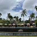 BAN(반) | 끄라비 반사이나이리조트 수영장 후기 절벽뷰 미쳤고 헬스장 솔직 후기!