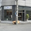 베노커피 이미지