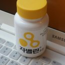 살빼는 재미 기트리닷컴 이미지