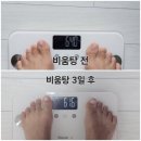 성도한의원 | 인천 다이어트 구월동 한의원 다니며 비움탕 한약 3일간 먹은 단기감량 후기
