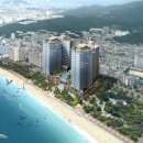 팔레드시즈 이미지