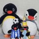 상동읍 덕구쉼터(상동읍-18) | 2026.01.09. 윤하 콘서트 - 빛나는 겨울(aka 윤동) 첫 콘 후기