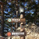 북삼초교 이미지